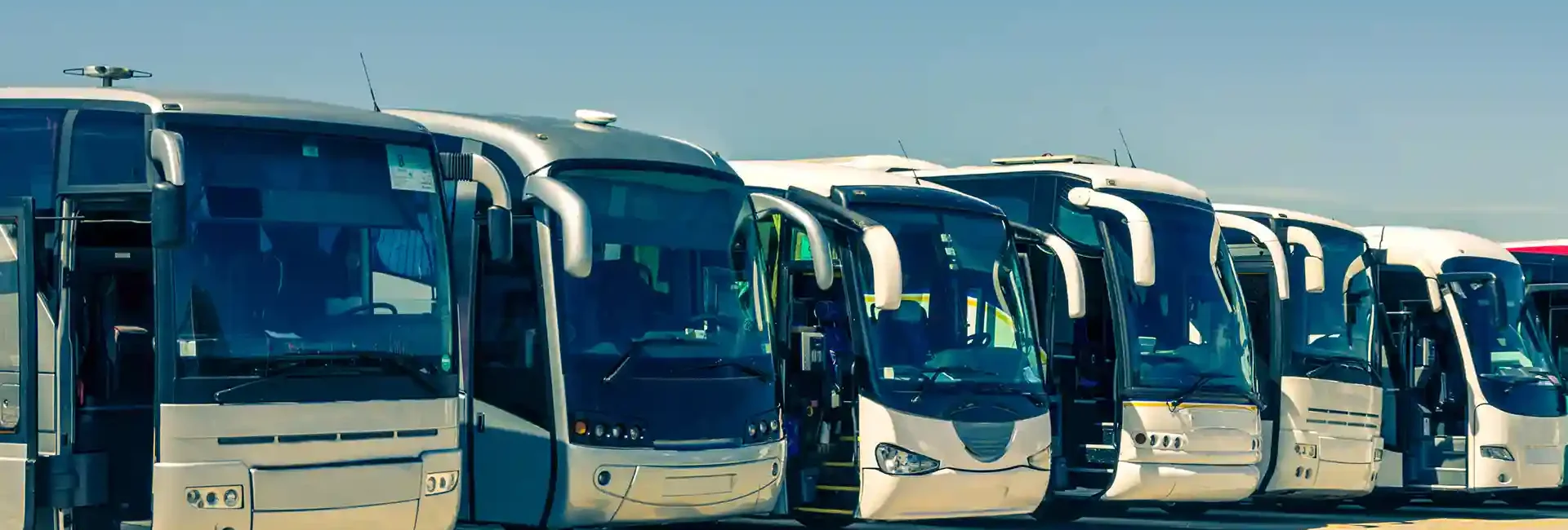 Mehrere große Reisebusse unter freiem Himmel.