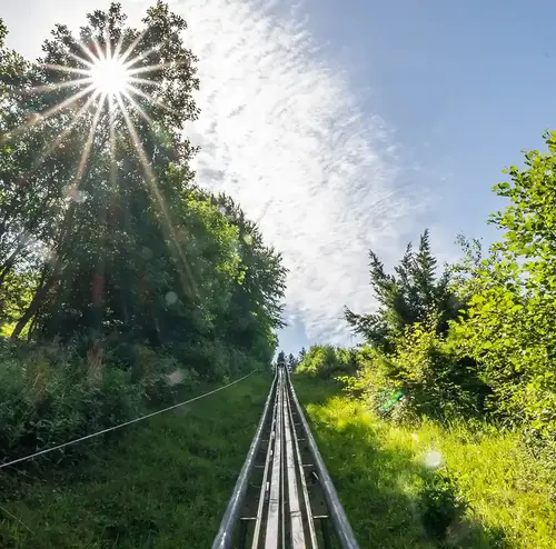 Die Sommerrodelbahn Gutach führt durch eine Wald- und Wiesenlandschaft unter Sonnenschein.