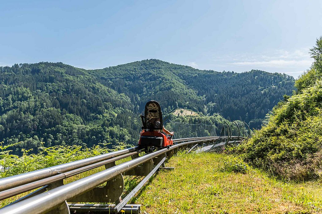 Kontakt Anfrage Sommerrodelbahn Gutach Schwarzwald Baden-Württemberg