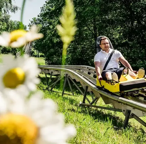 Ein Mann sitzt im Alpine Coaster Schlitten der Sommerrodelbahn Gutach, im Vordergrund Blumen.